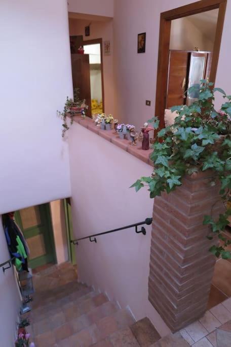 L'Oasi Di Pace Villa Pale Exterior foto